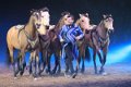 Apassionata_2014    127